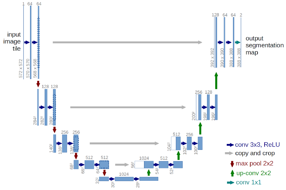 Image segmentation with U-Net