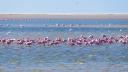 Applications for 2020 Intern Program Are Now Open