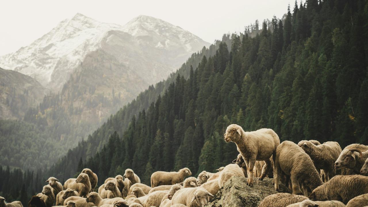 Three experiments in LLM code assist with RStudio and Positron