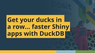 Get Your Ducks in a Row with Databases (Melissa Albino Hegeman, NYS OGS) | posit::conf(2025)