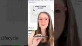 Did you know Hadley Wickham hates theme_minimal()?